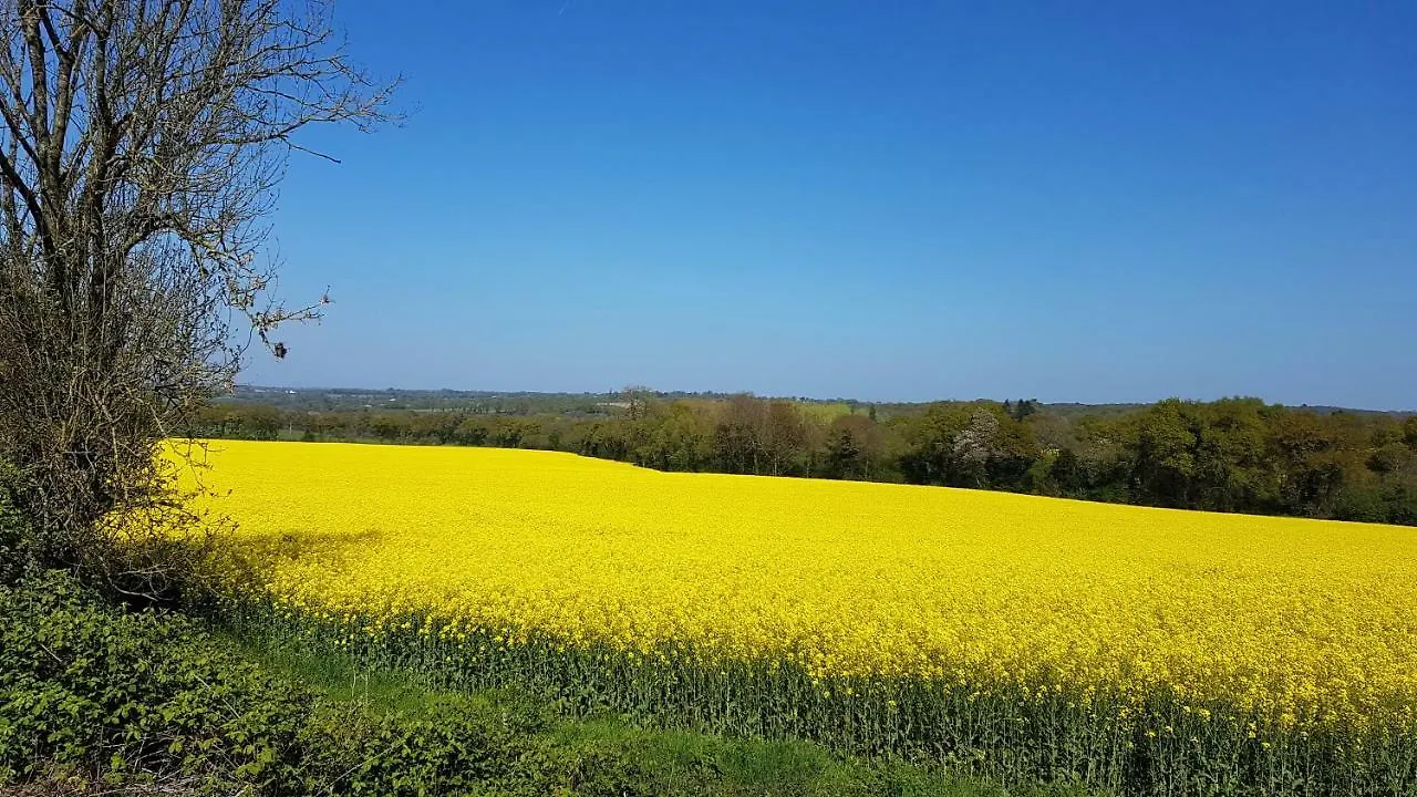 Country Cottages Brittany Paule 0*,  프랑스
